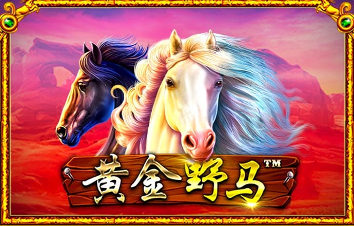im体育app官方下载入口
